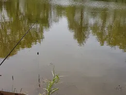 Dannenfelser Mühle-1