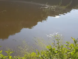 Dannenfelser Mühle-2