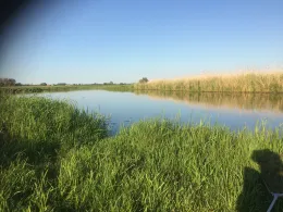 Katzenergel (Seegrehna)-1