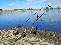 Elbe (Kirchwerder-Howe)-4