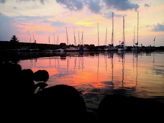 Elbe (Kirchwerder-Howe)-2