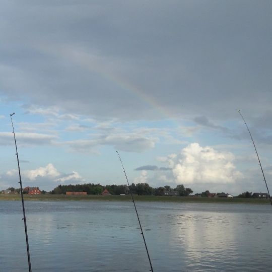 Elbe (Kirchwerder-Howe)