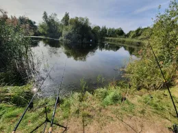 Pechpfuhl (Waltersdorf)-4