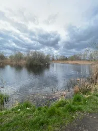 Pechpfuhl (Waltersdorf)-3