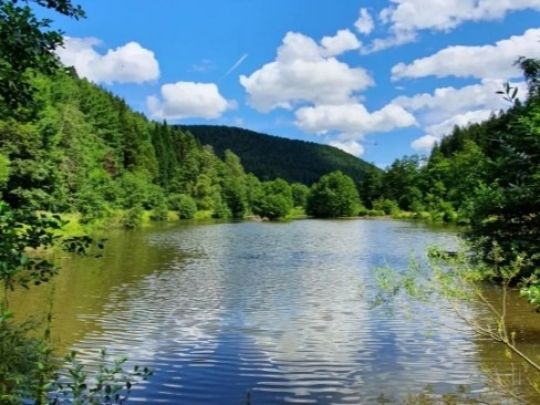 Gabrielenweiher (Ehlenbogen)