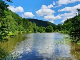 Gabrielenweiher (Ehlenbogen)