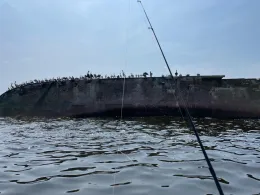 Bucht von Paracas-1
