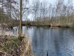 Kleine Kuhle am Wasserturm (Hagenow)-2