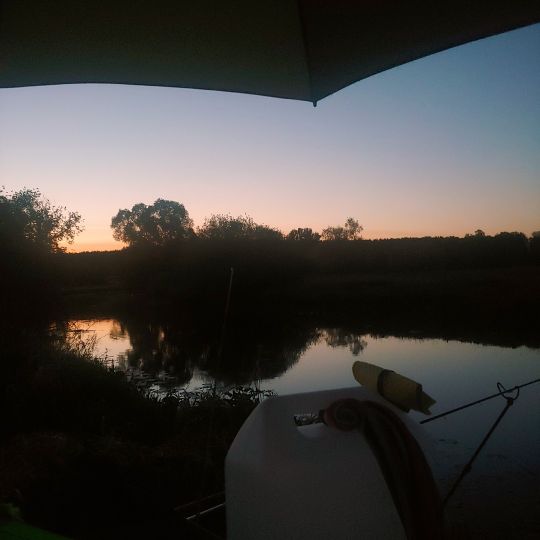 Spree (Kossenblatt)-1