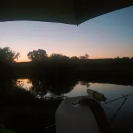 Spree (Kossenblatt)-1