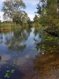 Spree (Kossenblatt)-4