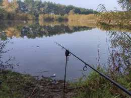 Kiesgrube Bad Düben