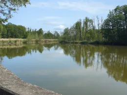 Woezer See Südwestteil-2