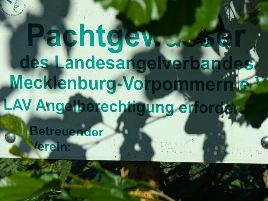 Woezer See Südwestteil-3