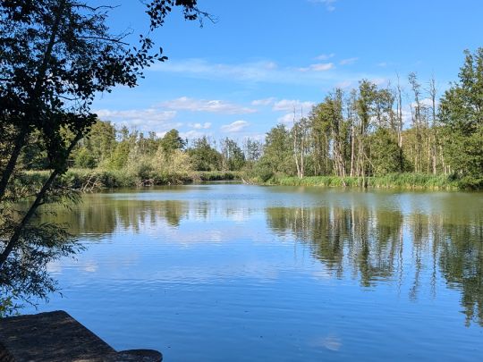 Woezer See Südwestteil-1