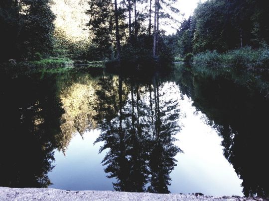 Helisau (ASV Hauingen)-1