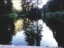 Helisau (ASV Hauingen)-1