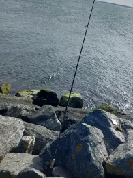 Ostsee (Warnemünde)-4