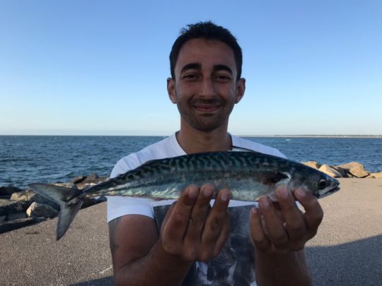 Ostsee (Warnemünde)-3