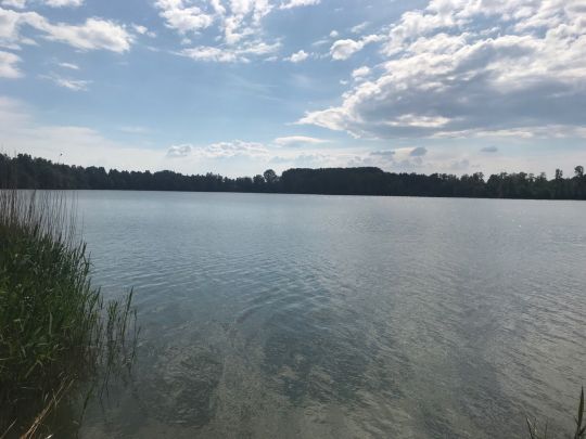 Barbarasee (Bellersheim)-2