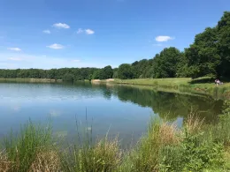 Barbarasee (Bellersheim)