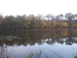 Ölmühlenteich (Langenstein)-1