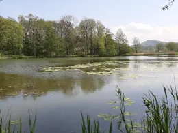 Ölmühlenteich (Langenstein)