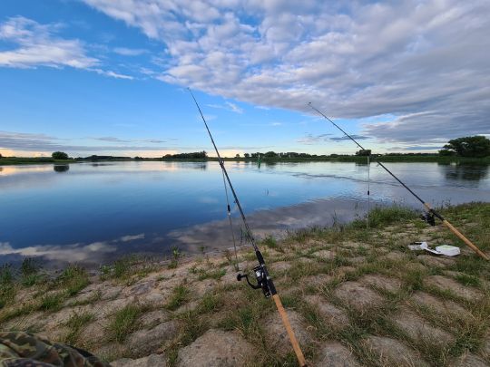 Elbe (Storkau/Elbe) angeln