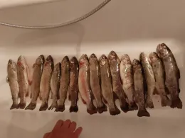 Angelteiche Koesterrieth-2