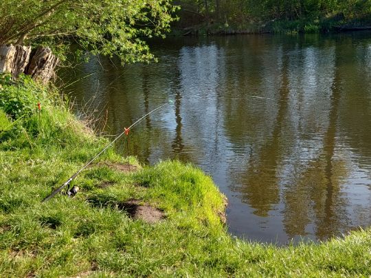 Spree (Sieverslake - Neu Zittau)-3