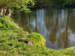 Spree (Sieverslake - Neu Zittau)-3