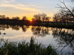 Spree (Sieverslake - Neu Zittau)