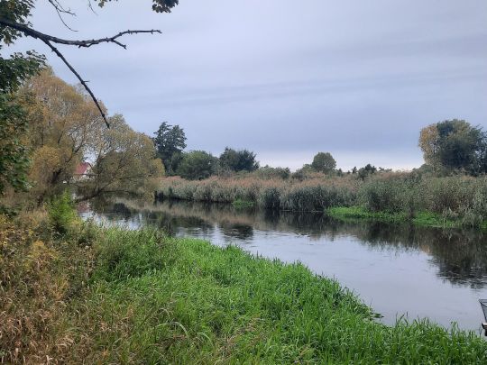 Spree (Sieverslake - Neu Zittau)-2