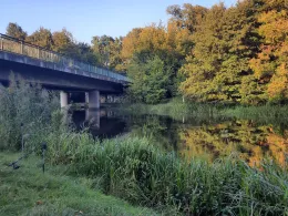Spree (Sieverslake - Neu Zittau)-1