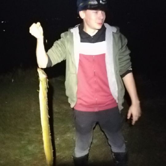 Kiesgrube Obersuhl-2