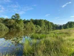 Bierder See (Böhme)