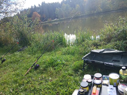 Weiher St. Veit 1-4-3