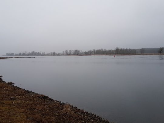 Oder (Neulewin) angeln