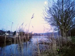 Donau (Saal an der Donau)