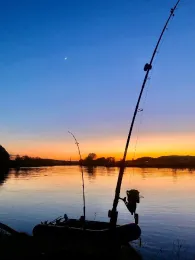 Donau (Saal an der Donau)-3