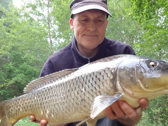 Bürgersee (Fürstenberg/Havel)-2