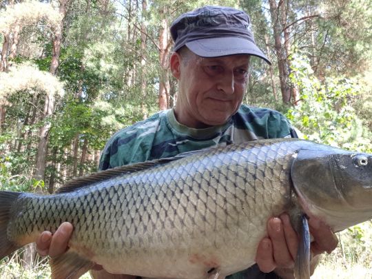 Bürgersee (Fürstenberg/Havel)