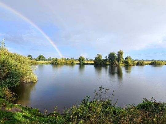 Sparrieshoop (Freudenthaler See)-4