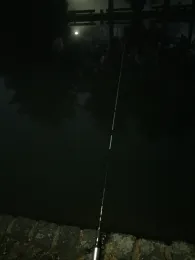 Angelparadies Schoel