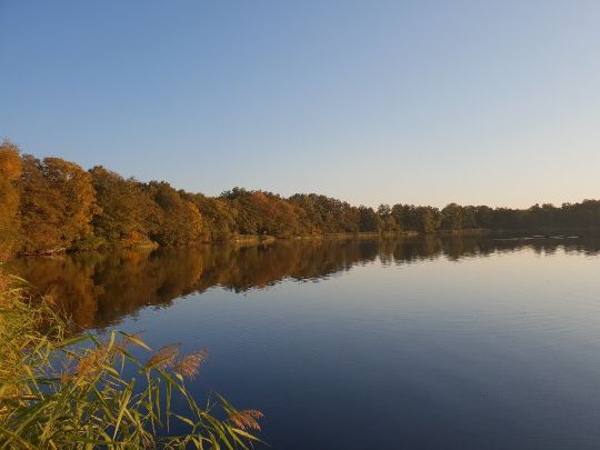 Zeesener See-3