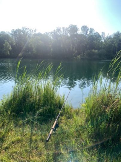 Unterfahlheimer See-4