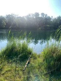 Unterfahlheimer See-4