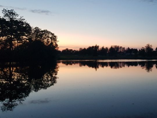 Riedererweiher (Penzberg)-4