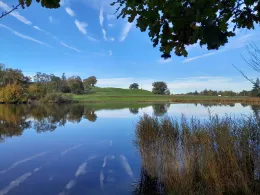 Riedererweiher (Penzberg)-3