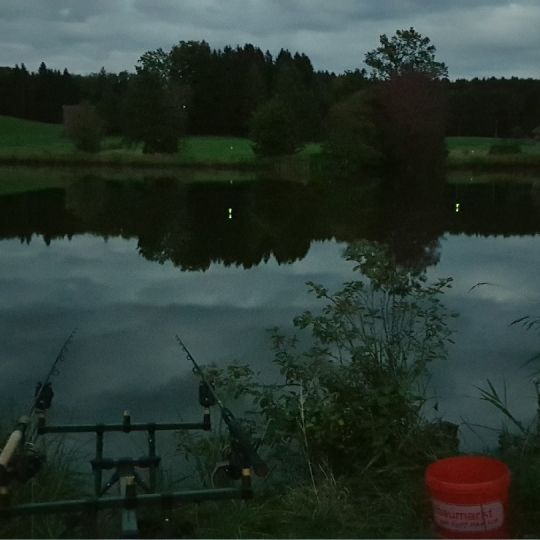 Riedererweiher (Penzberg)-2